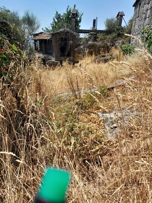 Moradia rústica em ruinas com logradouro e espigueiro