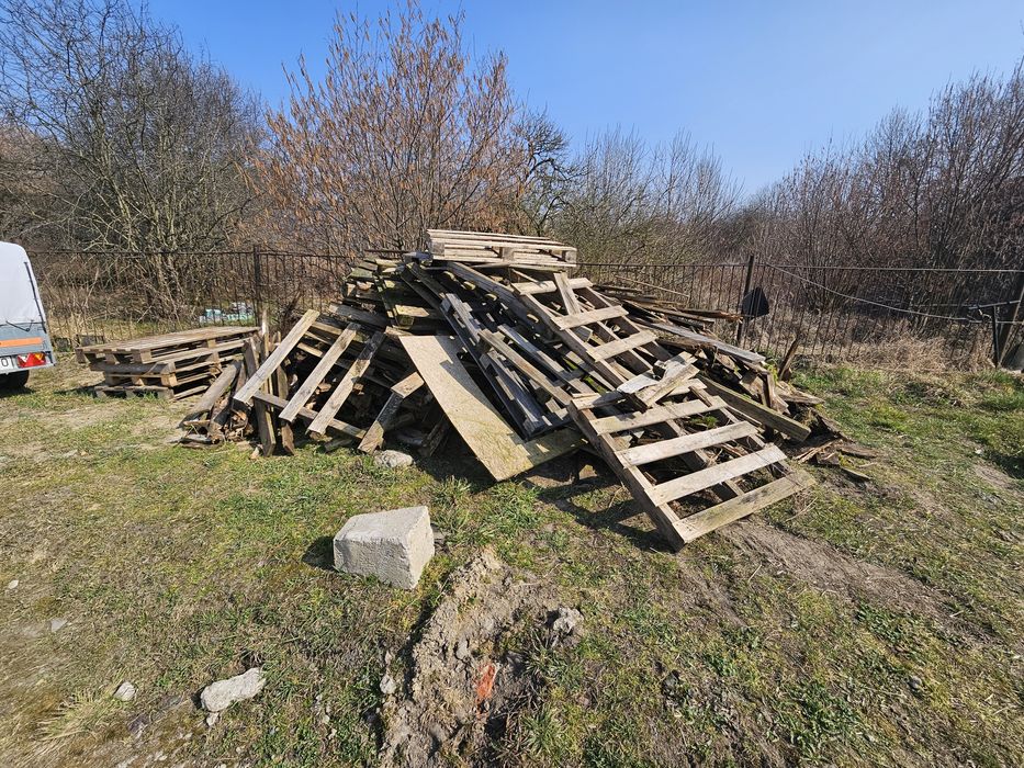 Drewno na opal. Oddam