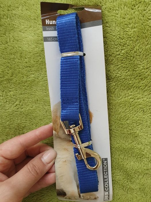 Ошейники и поводок