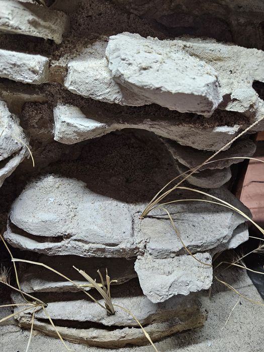 Terrarium pustynne gekon lamparci eublefar