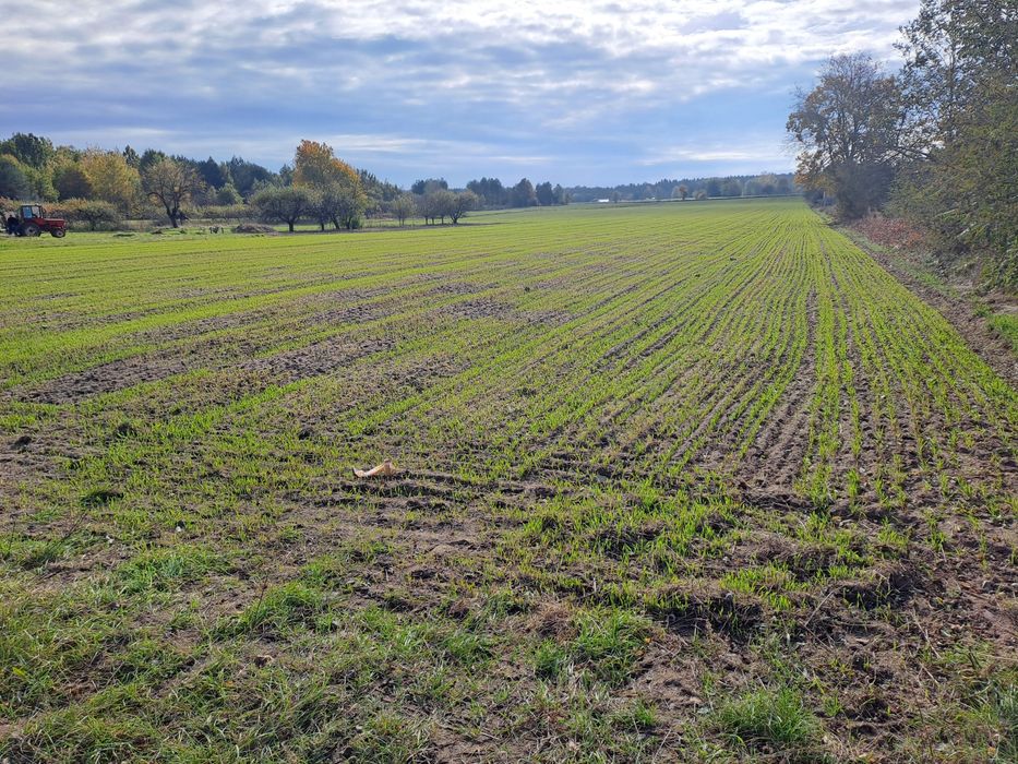 Działki rolno- budowlane