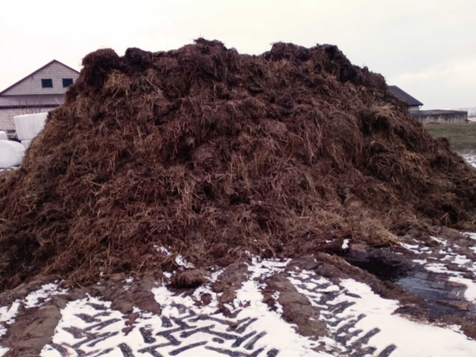 Sprzedam obornik bydlecy  ,, pilnie,,