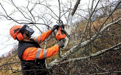 Usługi i Wynajem dźwigów podnośniki koszowe zwyżki Wumag Ruthman dźwig
