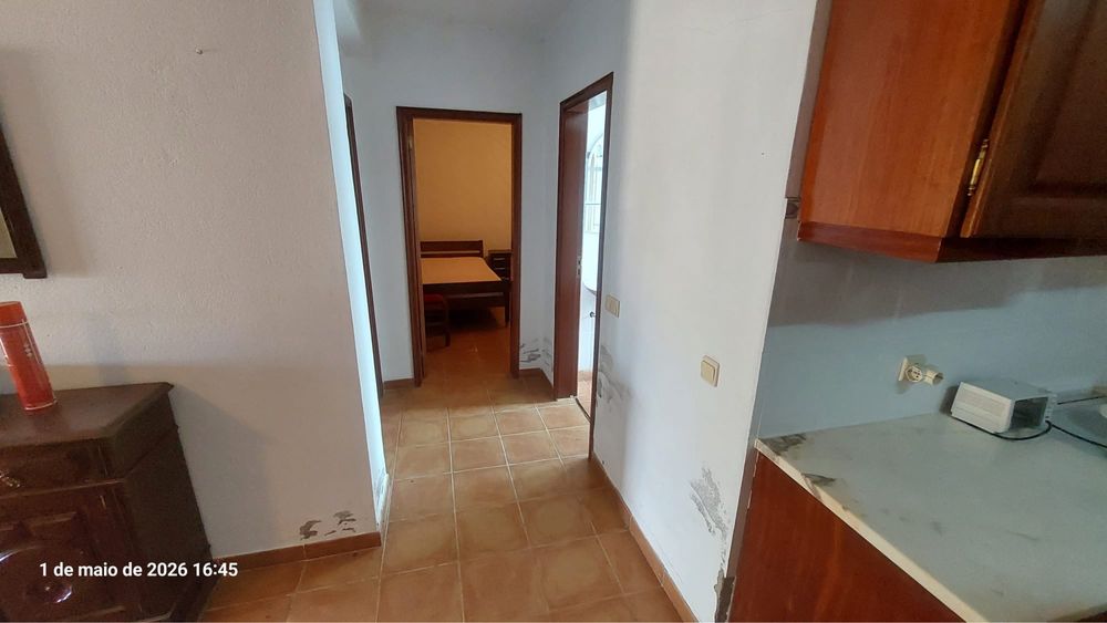 Quinta T3 Murada com 3.180m², Furo Artesiano e Anexos – castelo branco Idanha-a-Nova