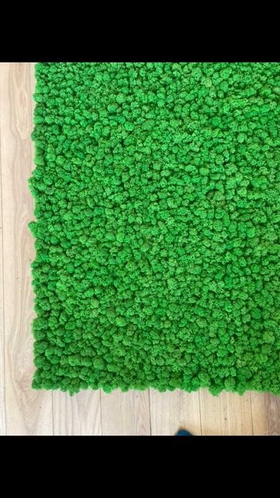 Panele z Mchu Chrobotka panel z Mech Chrobotek