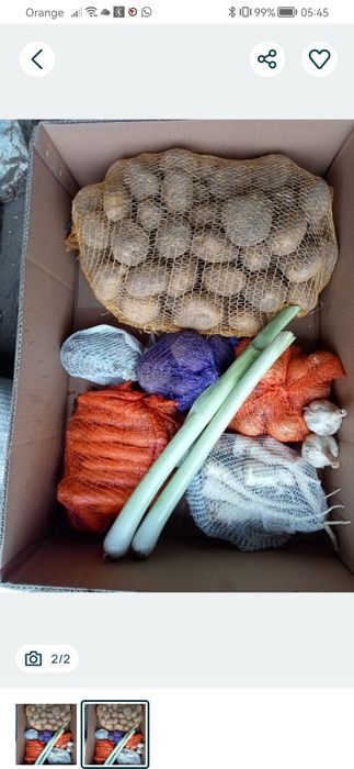 kapusta pekińska 4 sztuki wysyłka inpost od rolnika paczkomat