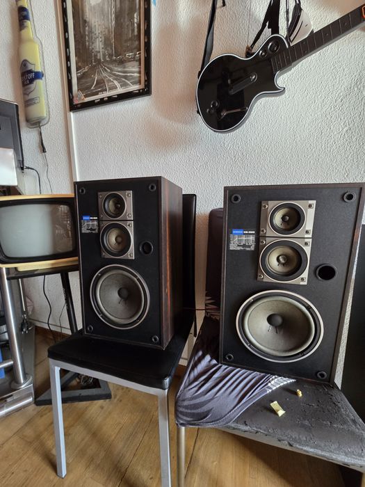 Par de colunas pioneer