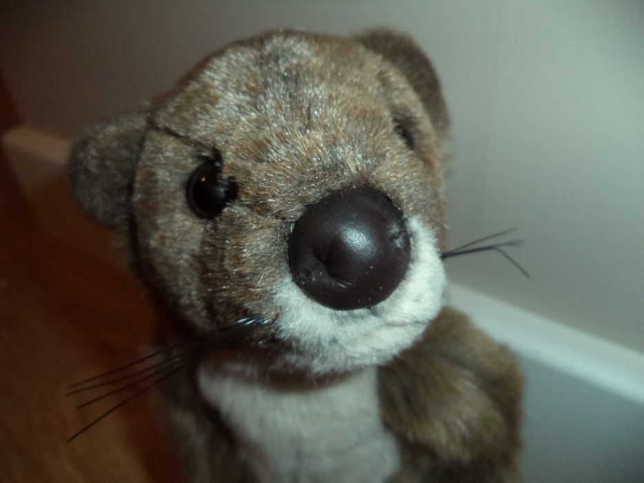 Peluche castor - novo