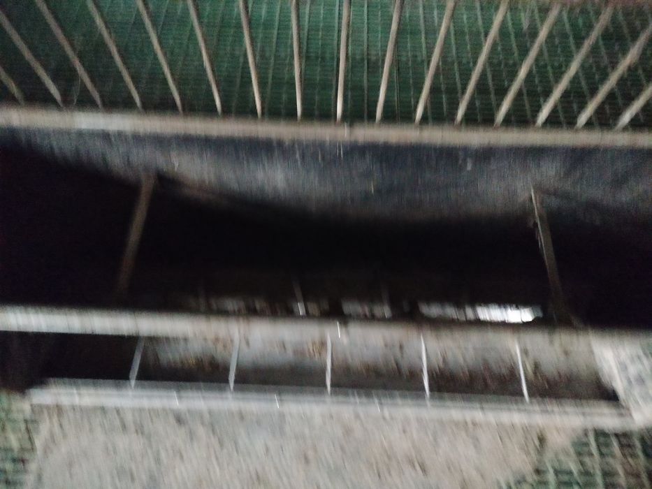 Sprzedam paśnik ładny