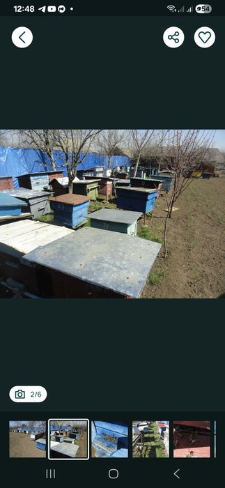 Продам вулики для бджіл