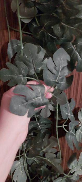 Sprzedam sztuczny bluszcz - 6 sztuk