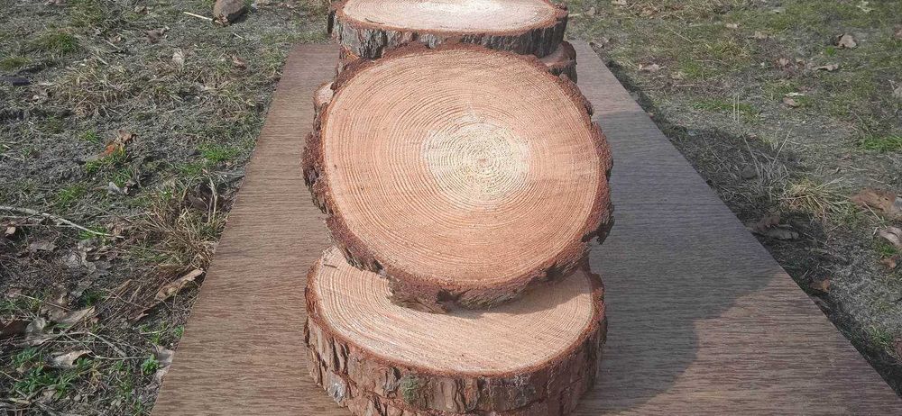 Plastry drewna, 5 sztuk, 25-30 cm, krążki drewniane, podstawki na stroiki, wesele