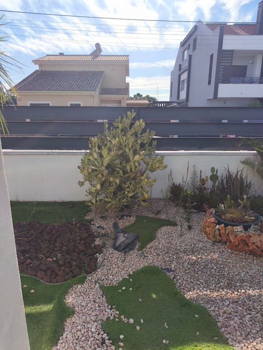 Plantas de Jardim Variadas
