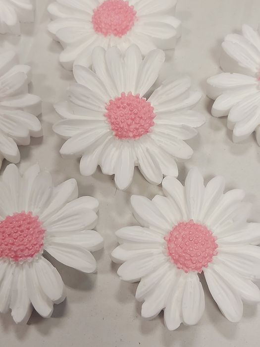 Flor em gesso perfumado