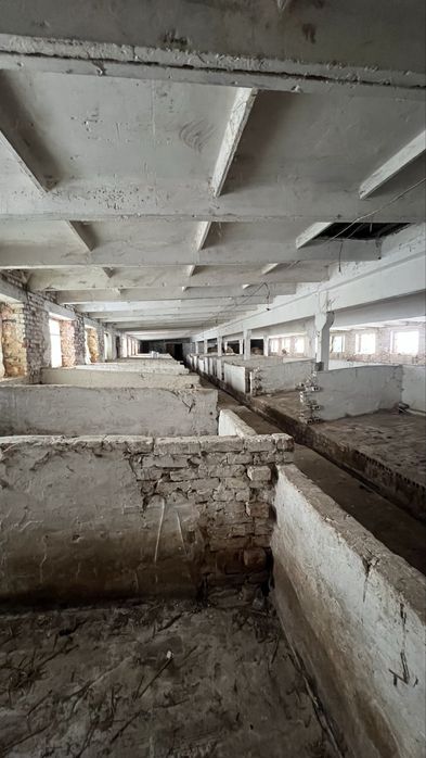 Продам приміщення під ферму