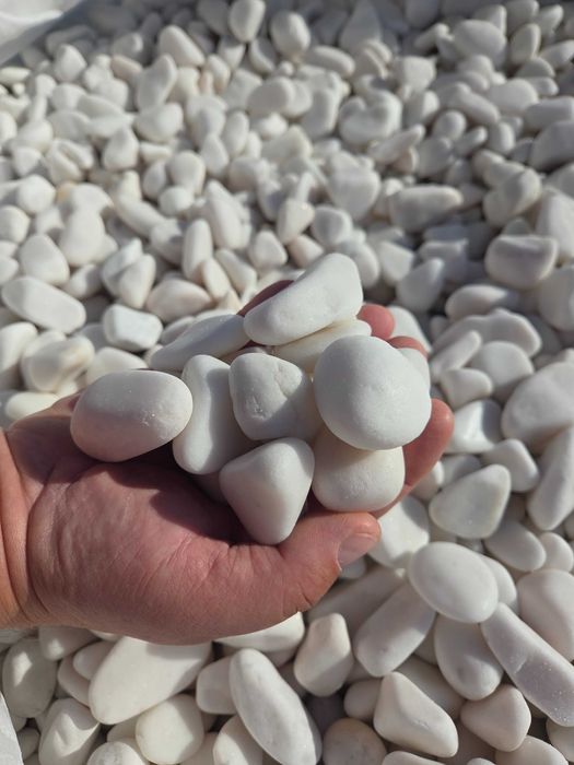 Otoczak White Angel, śnieżno-biały