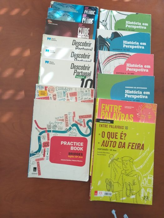 Manuais e cadernos de atividades do 10 ano.