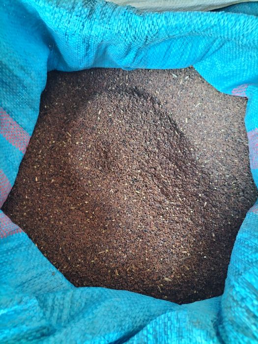 Facelia błękitna  dowóz