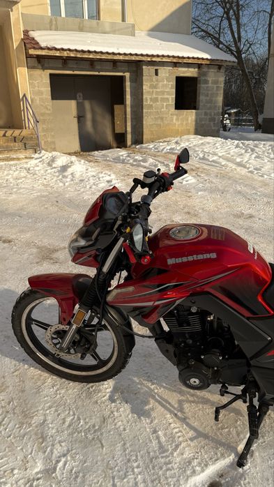 Mustang Fortuna 200-2022p