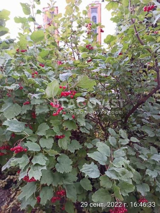 Продаж будинку з євроремонтом меблями та технікою.  Лебедівка