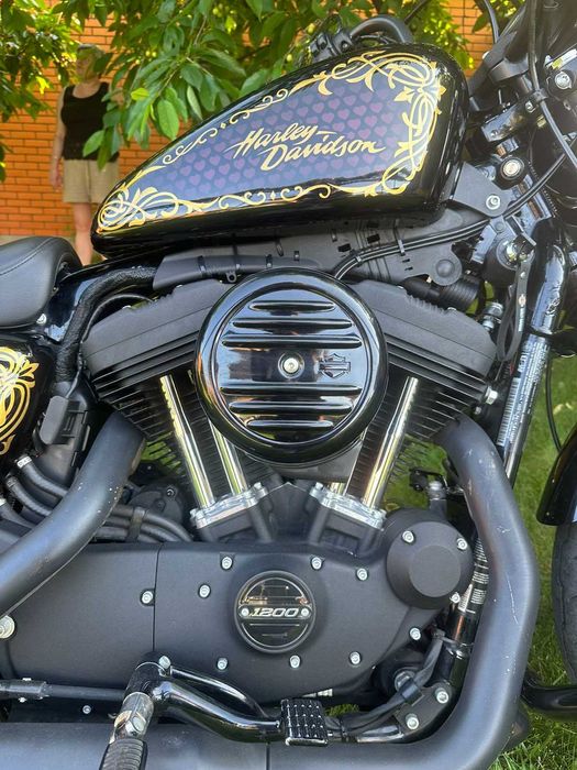 Harley-Davidson Sporster XL1200 Iron 2021 Аерографія