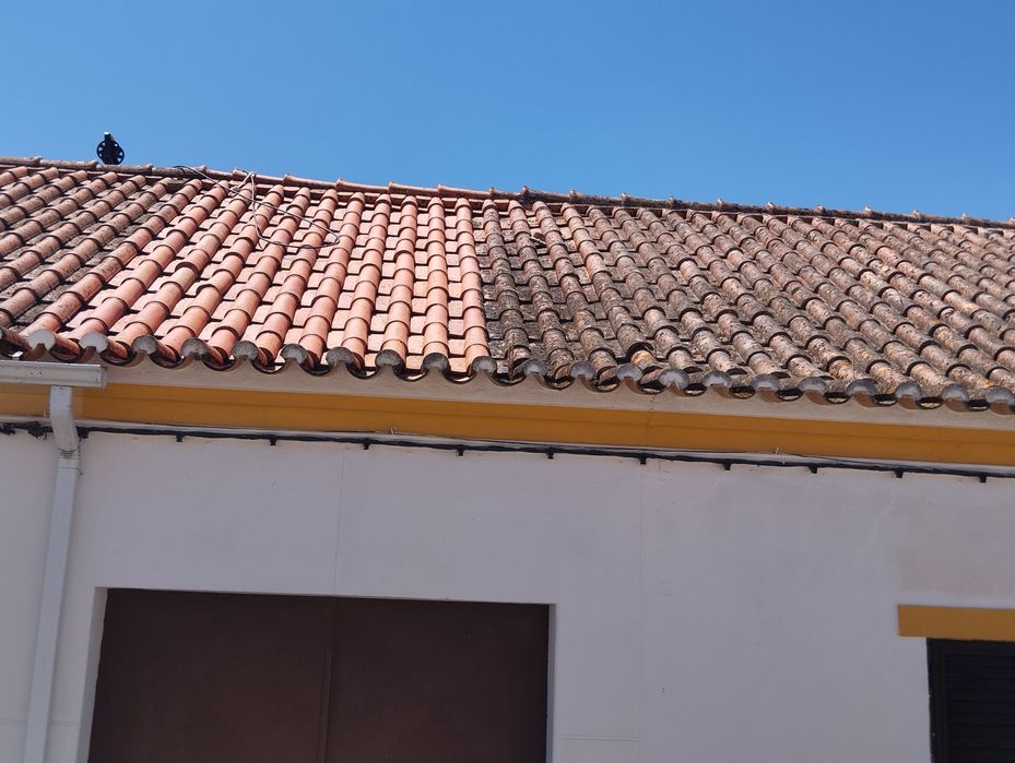 Limpeza de telhados