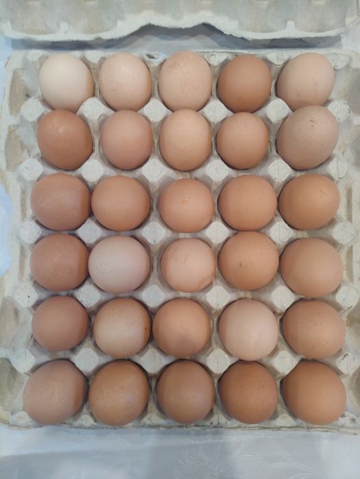 Яйцо куриное домашнее