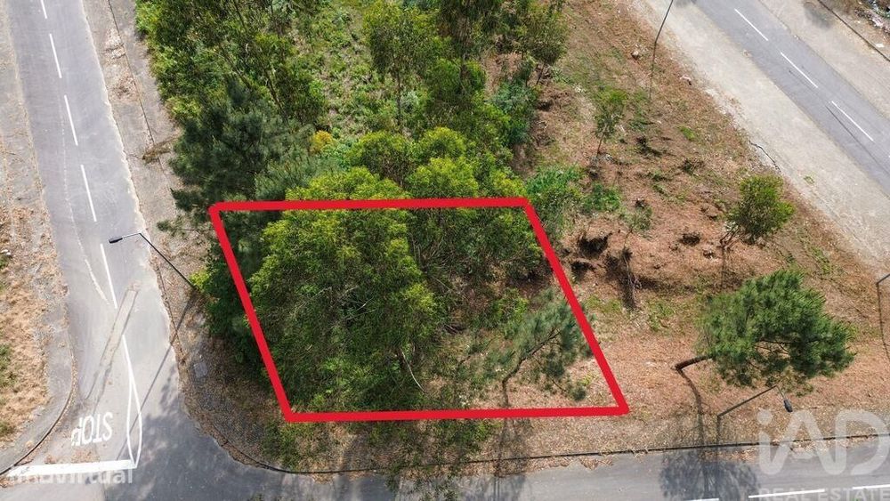 Terreno para construção em Ruivães e Novais