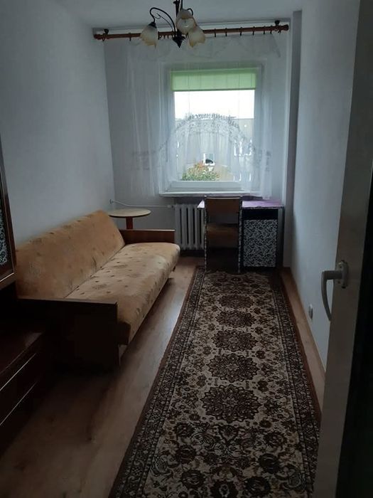 Pokój do wynajecia