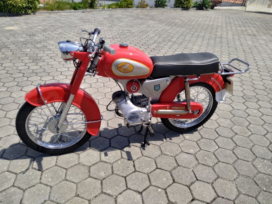 Sachs lebre 1972