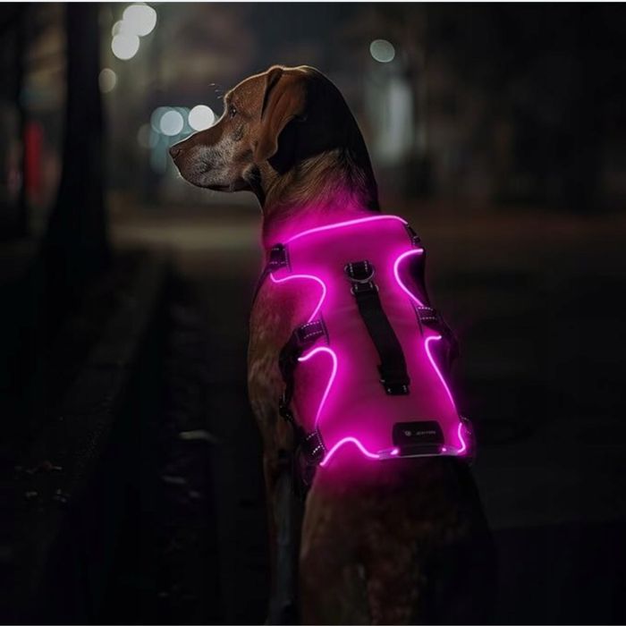 Nowe‼️ Jedyne takie Świecące Szelki Dla twojej Damy L Dark Dog Harness