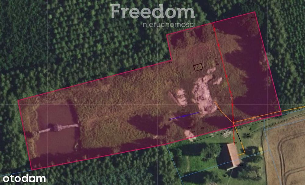 Malownicza działka 8324m² ze stawem otoczona lasem