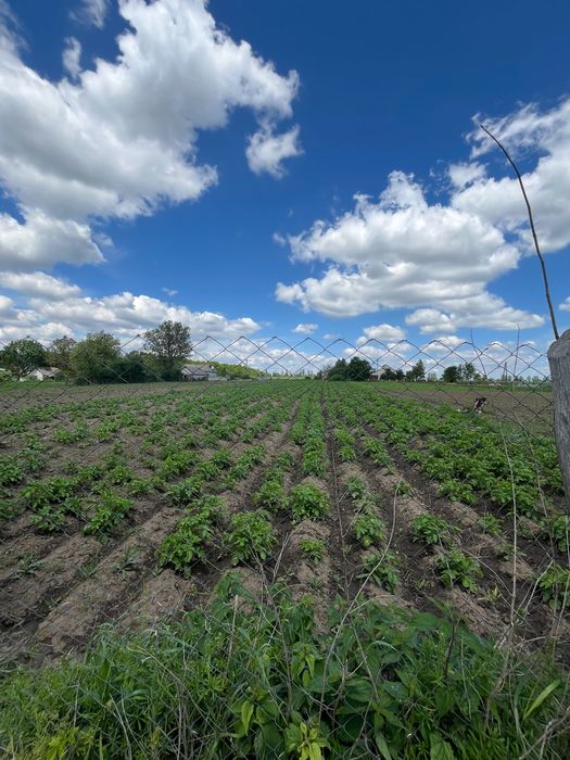 Продам будинок Сьомаки ТОРГ