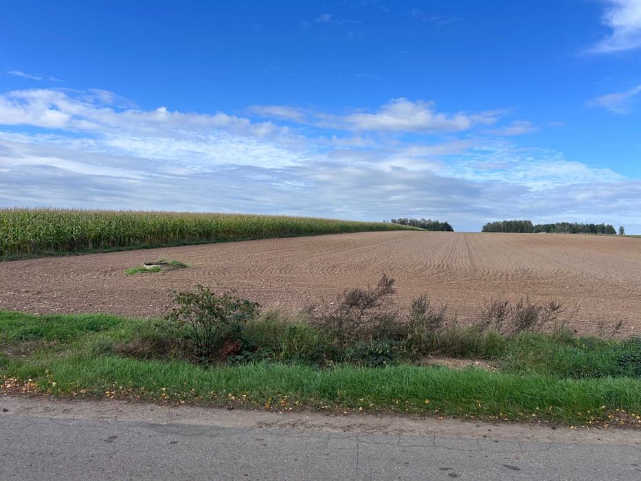 Wola Zambrzycka, 1381 m² z WZ – przy granicy Zambrowa - działka