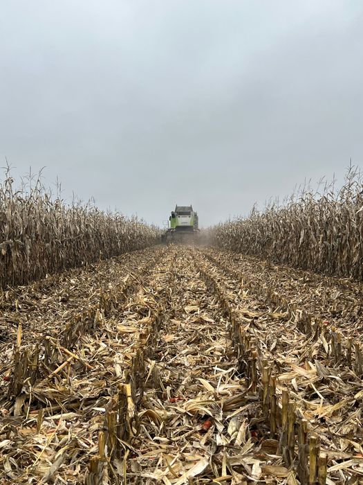 Жатка кукурудзяна Claas Conspeed 8/70 2012
