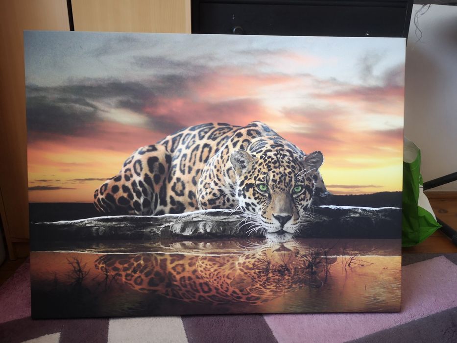 Obraz lampart 102x77