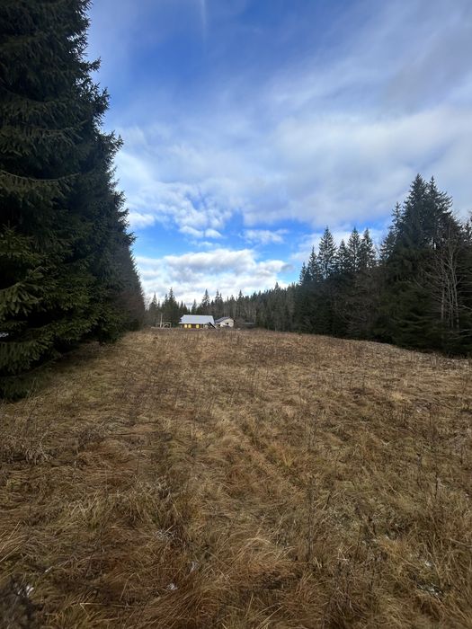 Остання ділянка біля Говерли | 10 соток