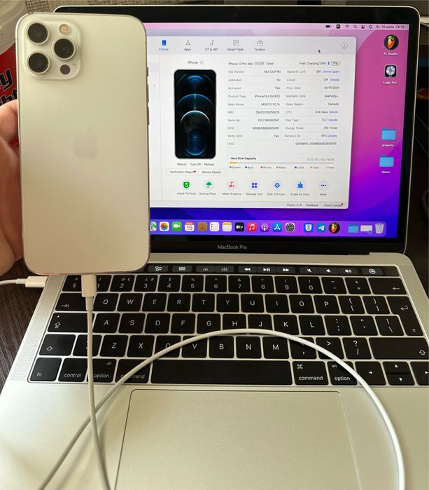 iPhone 12 Pro Max Silver