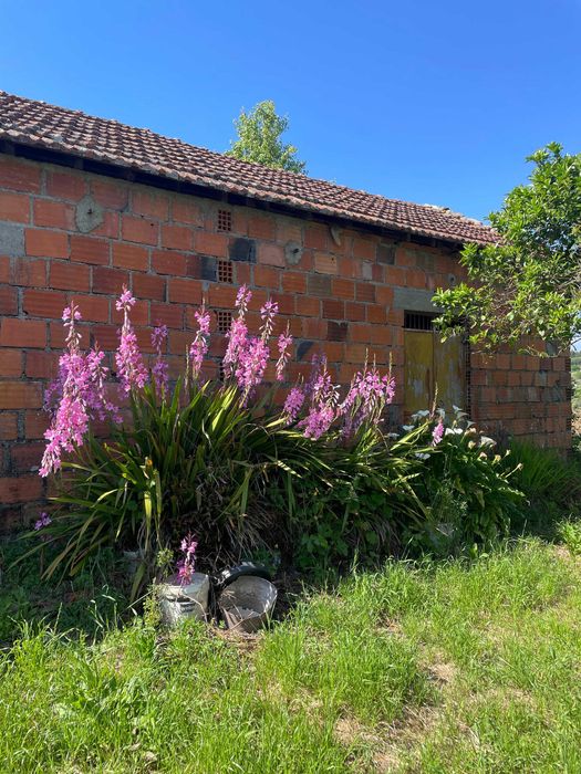 Terreno rústico com anexo