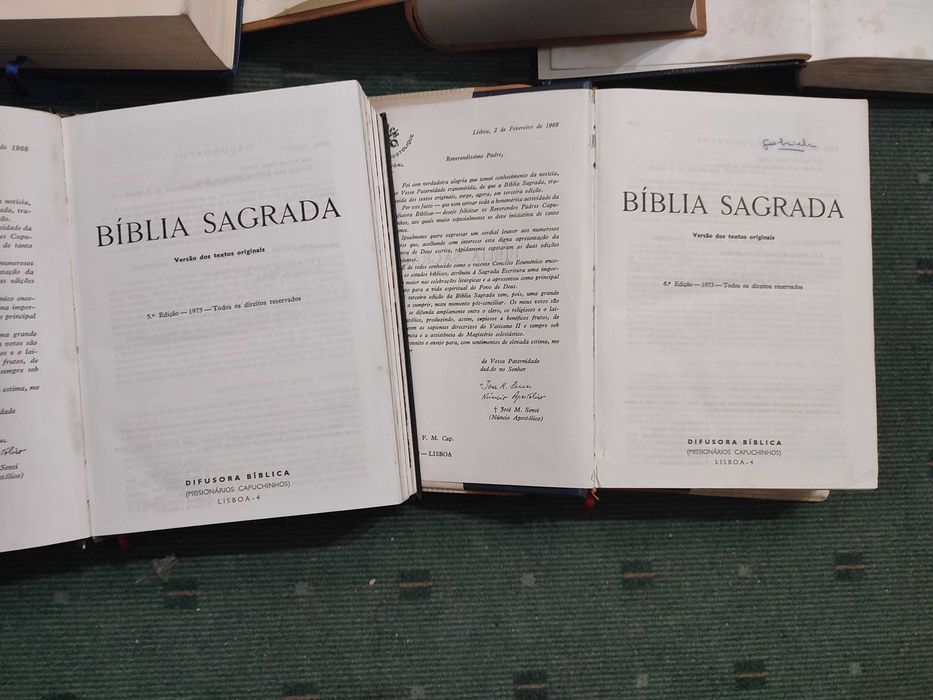 Lote 5 Biblias Diferentes Edições
