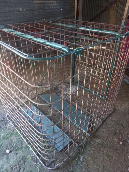 Jaula em ferro para apanhar animais