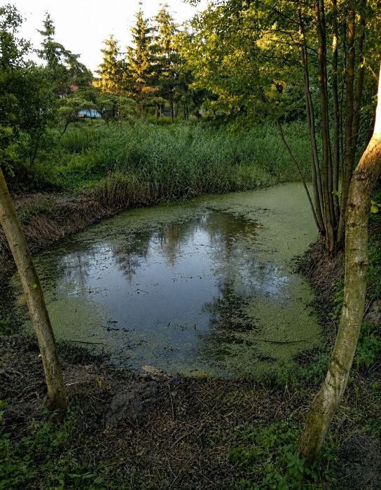 Działka  budowlana 2787m²  Wąbrzeźno