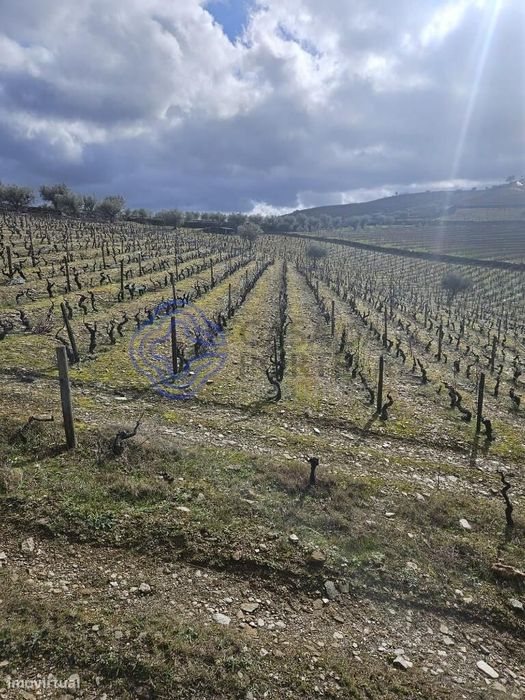 Venda Terreno — Candedo, Vila Real