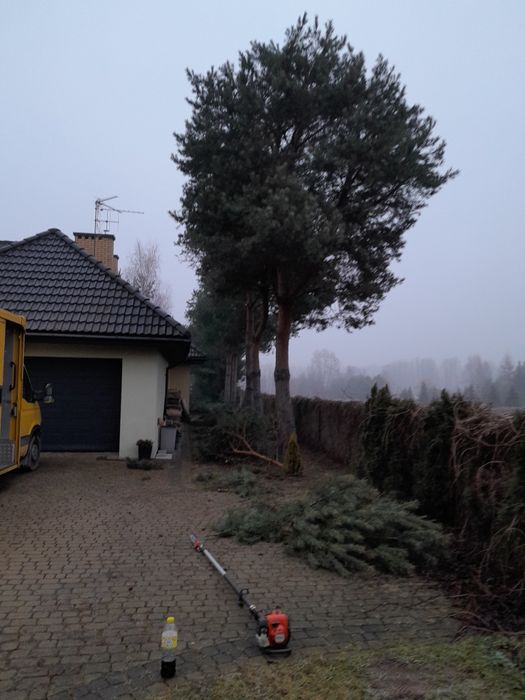 Podnośnik koszowy Odśnieżanie dachów zwyżka Wycinka drzew rębakowanie