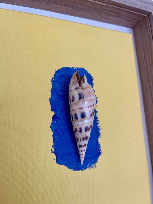 Quadro com tela e búzio