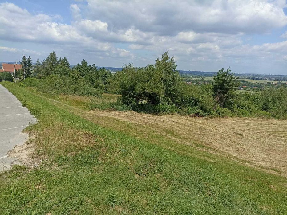 Sprzedam dzialke z WZ na zabudowe zagrodowa