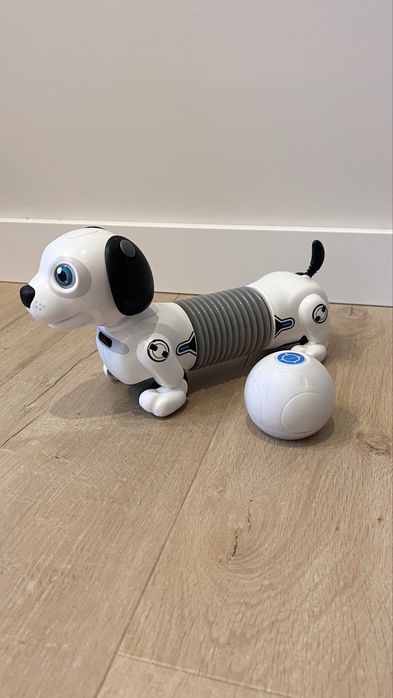 Robo Dackel Junior