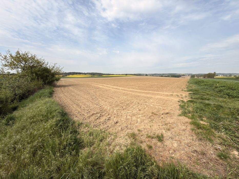 Działka rolna Głuchów Górny 3320 m² koło Trzebnicy - Widok 2