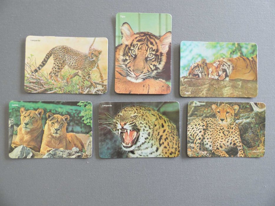 Calendários Animais Diversos