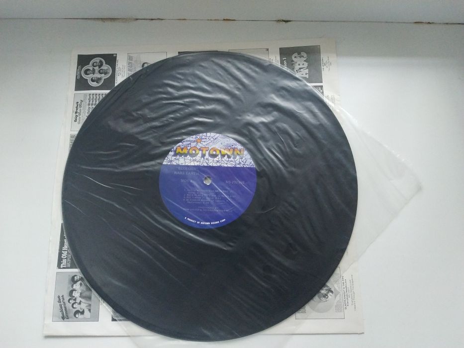 Платівка Rare Earth Ecology відмінний стан